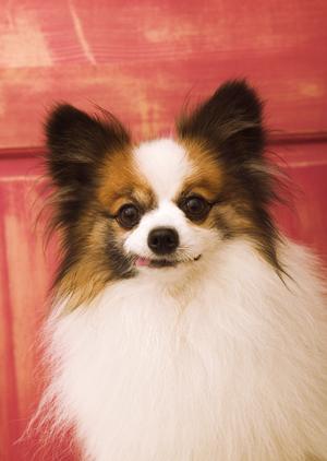 大阪を含む近畿全域が対象エリアです