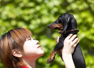 旭神の緑の森どうぶつ病院｜最新設備と充実した環境で安心の動物医療を提供
