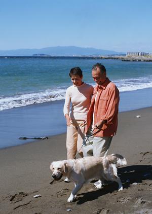 ペットの健康管理をサポート！信頼できる通販サイトで手軽に療法食を購入しよう