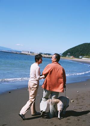 横須賀市で通える動物病院について