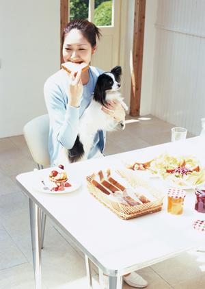 可愛い豆柴を適正価格で販売している