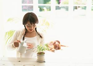 ミヌエットの対策法と予防ポイントを徹底解説【2026年最新情報】