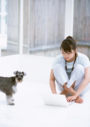 信頼と実績のアサンテ｜即日対応・土日祝も対応のシロアリ駆除サービス